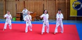 Aber denkt immer daran: Karate macht man nur im Dojo, auf dem Tatami. Karate ist Disziplin und Respekt vor dem Gegner.