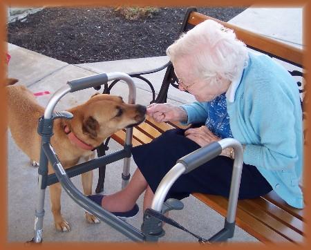 Der Hund spielt eine Vermittlerrolle. Sein warmes Fell, seine anhängliche Art und sein einfacher Körperkontakt helfen dem Therapeuten, die Befindlichkeit der Patienten zu verbessern.