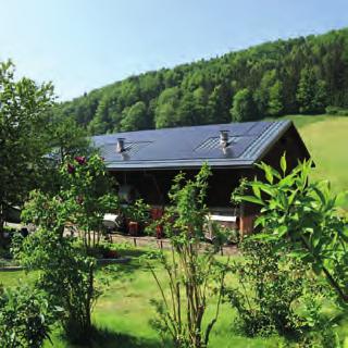 fördern. Die gemeindeeigenen Immobilien und Anlagen werden bei Sanierung sukzessive auf erneuerbare Energien umgestellt.