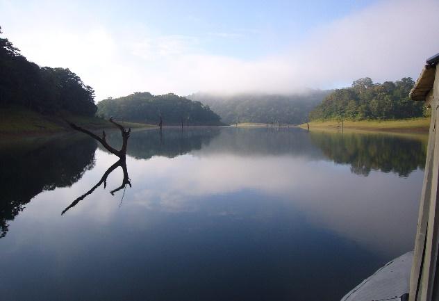 7. Tag: In Periyar zu Besuch bei den Ureinwohnern 8. Tag: Fahrradtour nach Vagamon u.a. den majestätischen Großen Nashornvogel.