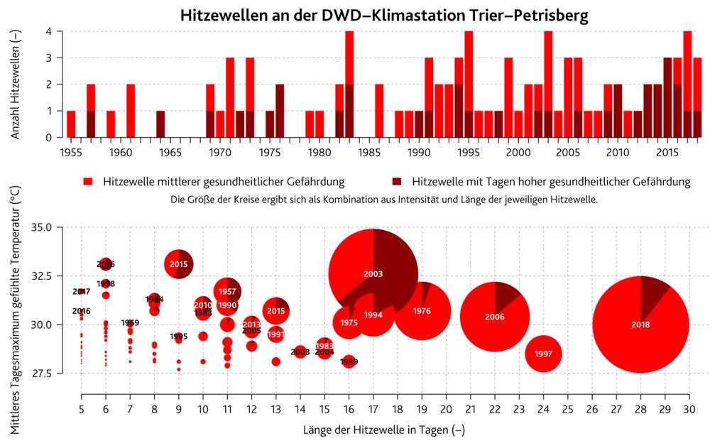 Folgen für den Wald Hitze Dr.