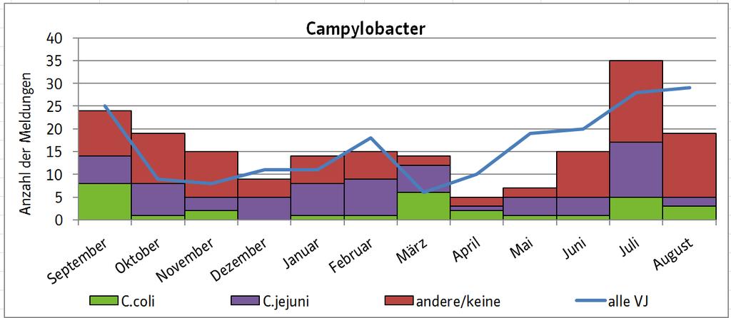 Abbildung 7 Gemeldete Campylobacter-Infektionen nach Erregertypen in bis 31.08.