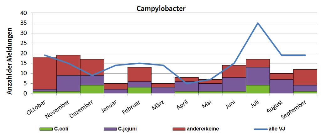 Abbildung 7 Gemeldete Campylobacter-Infektionen nach Erregertypen in bis 30.09.