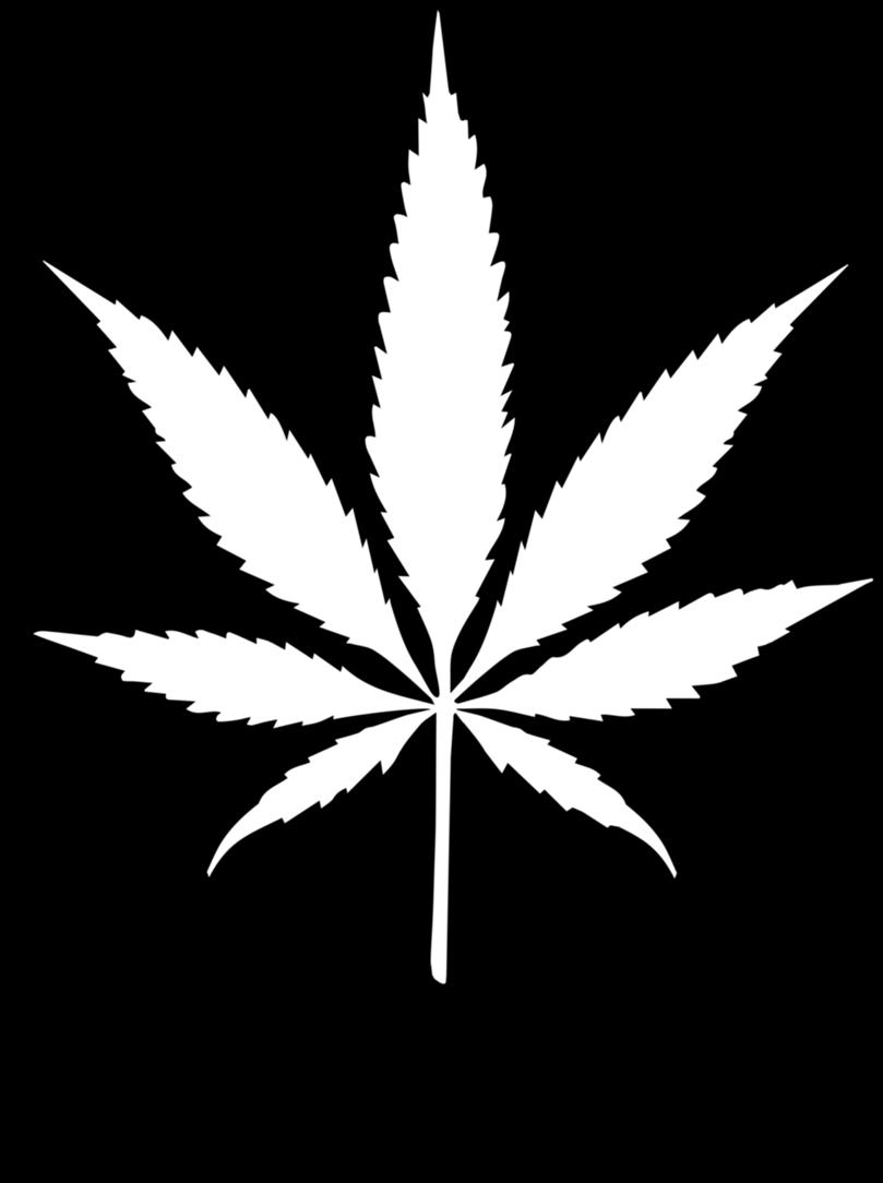 Cannabis Antworten auf die Wettbewerbskarte übertragen (letzte Agenda-Seite).