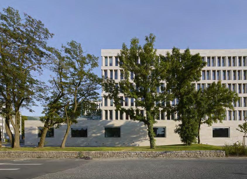 Schnitt Institutsgebäude