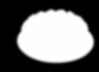 2300g ø 26 cm 8107369 Flockensahne-Torte Auf einem hellen Muffinboden liegen abwechselnd lockere Vanille-Sahne und luftig-leckere