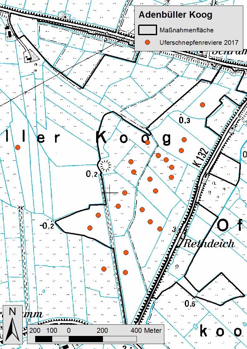 4.1.8 Eiderstedt (09-Eid) In den Maßnahmenflächen im Adenbüller Koog etablierten im Berichtsjahr 21 Uferschnepfenpaare ein Revier. Zusätzlich brüteten zwei Paare auf benachbarten Parzellen (Abb. 8).