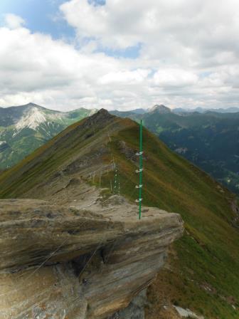 Modellregion Alpine Zäunung in Zederhaus,