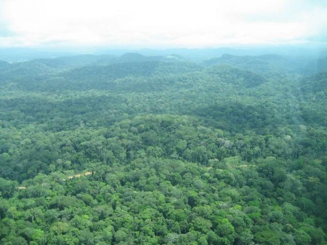 Unser Beitrag zum ständigen Waldschutz 4 : 1 330 000 000 tc 20 jährige Messdaten zum