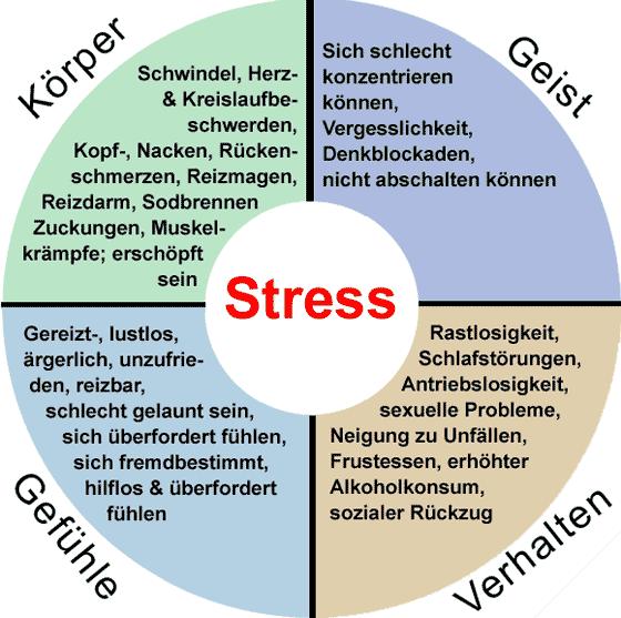 Symptome Eustress: guter Stress Distress: