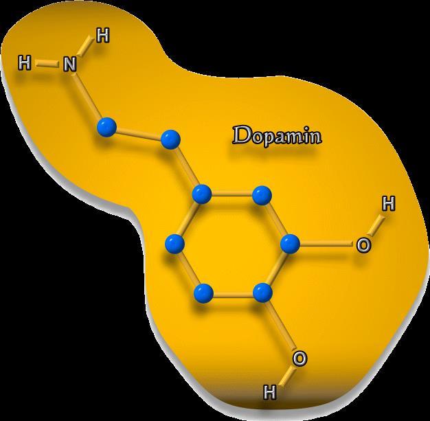 Dopamin und Lernen hoher Dopamin-Spiegel