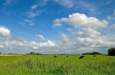 NRW-Agrarpolitik Leitbild: Vielfältige, leistungs- + wettbewerbsfähige, bäuerlich verankerte Landwirtschaft von selbständigen
