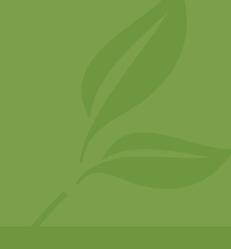 Kurzumtriebsplantagen zur Absicherung von Biomasse-Brennstoffen AGRARHOLZ 2013, fnr