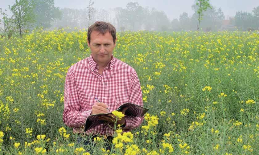 Dirk Decherf, Europa-Leiter Züchtung bei Bayer, begutachtet die Pflanzen vor Ort: Denn erst im