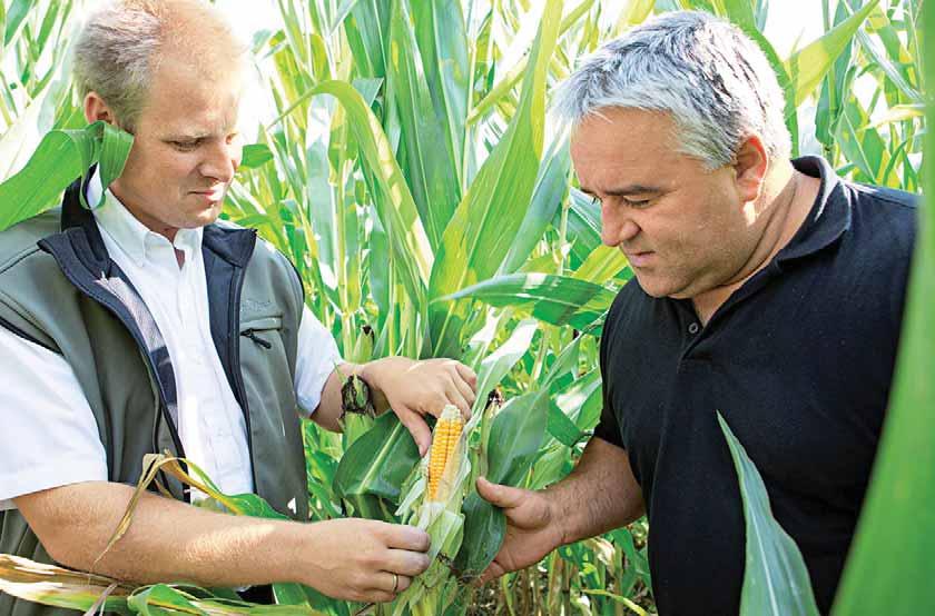 Ein voller Erfolg also für die Landwirte und ein echter Lichtblick verglichen mit der Ernte des Vorjahres! Zugelegt haben 2014 auch die Maisanbauflächen.