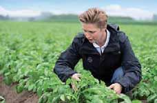 Vorauflauf (VA) 0,5 l/ha im Nachauflauf (NA) 600 g/l Anwendungszeitraum VA + NA bis maximal 5 cm Staudenhöhe Gebindegröße 12 1 l Flasche, 4 5 l Kanister DIE WIRKUNG Das Herbizid macht Schluss mit