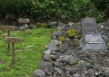13. Tag - Wanderung im Vulkan-Nationalpark Heute unternehmen wir eine Wanderung zum Grab der Gorilla-Forscherin Dian Fossey im Herzen des Vulkan-Nationalparks.
