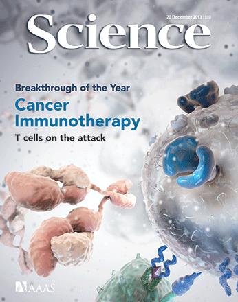 Cancer Immunotherapy bispecific