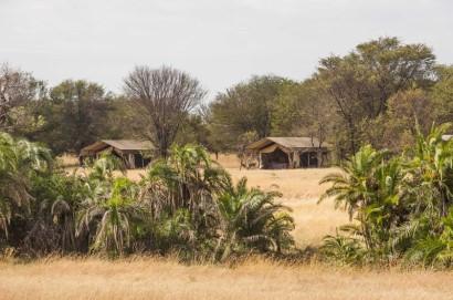 1 Ü Kati Kati Camp, Lake Masek Camp, Mbalageti Serengeti im Tented