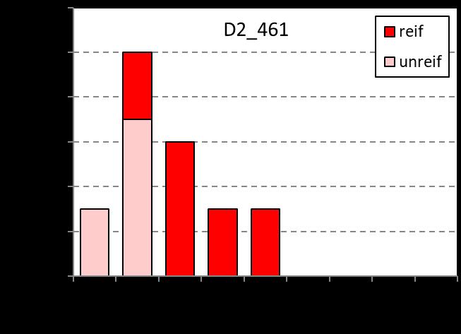 159 Verteilung der reifen und unreifen Bachforellen auf die Altersklassen nach Weibchen (links) und Männchen (rechts). Pfeile: siehe Kapitel 2.3.1. D2_461 Susasca (Chant Blau)