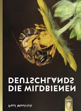 143 Buchvorstellung Paul Westrich: Die Wildbienen Deutschlands Wertvolle Blütenbestäuber stark bedroht: Wildbienen im Fokus Seitdem die Medien über das weltweite Bienensterben und dessen fatale