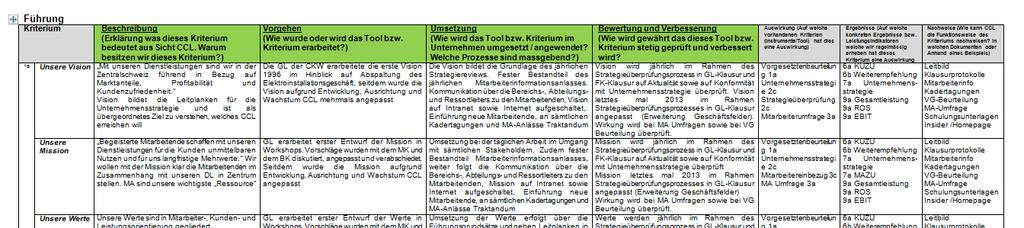 Übergeordnetes Instrument: Enabler-Map Übersicht über alle Kriterien des EFQM- Modells Zeigt pro Kriterium die Tätigkeiten von uns auf und gibt Auskunft über Ursachen-