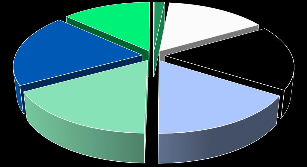Anteil der Deliktsgruppen an der Gesamtkriminalität 0,06%