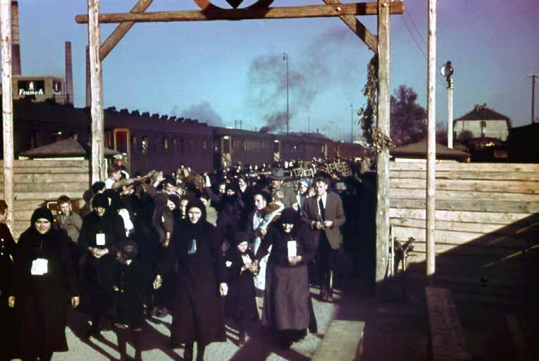 ドイツ国内へ 49 In Deutschland 鉄道を降りた人々は 最終的な目的地への旅の前に ドイツ国内の収容所に向かう 最終目的地は個々の再定住者によって異なるものになった Die Eisenbahnreise ist