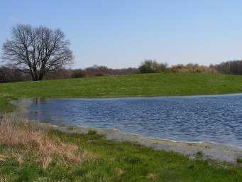 aus Armleuchteralgen 3150 Natürliche eutrophe Seen mit einer Vegetation des Magnopotamion oder Hydrocharition