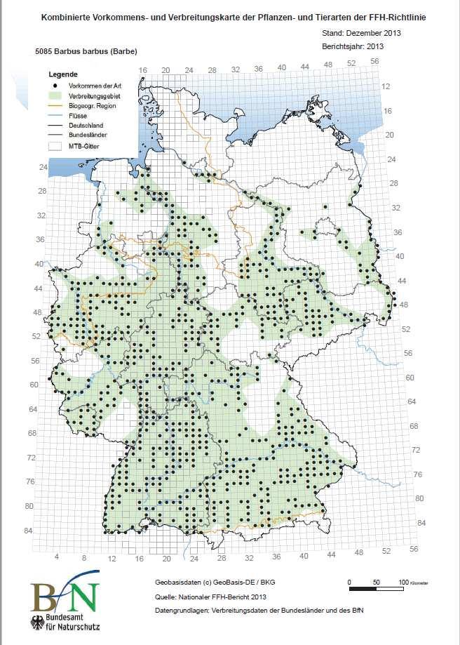 Verbreitung Verbreitung in Deutschland Schwerpunkte: Kontinentale Region