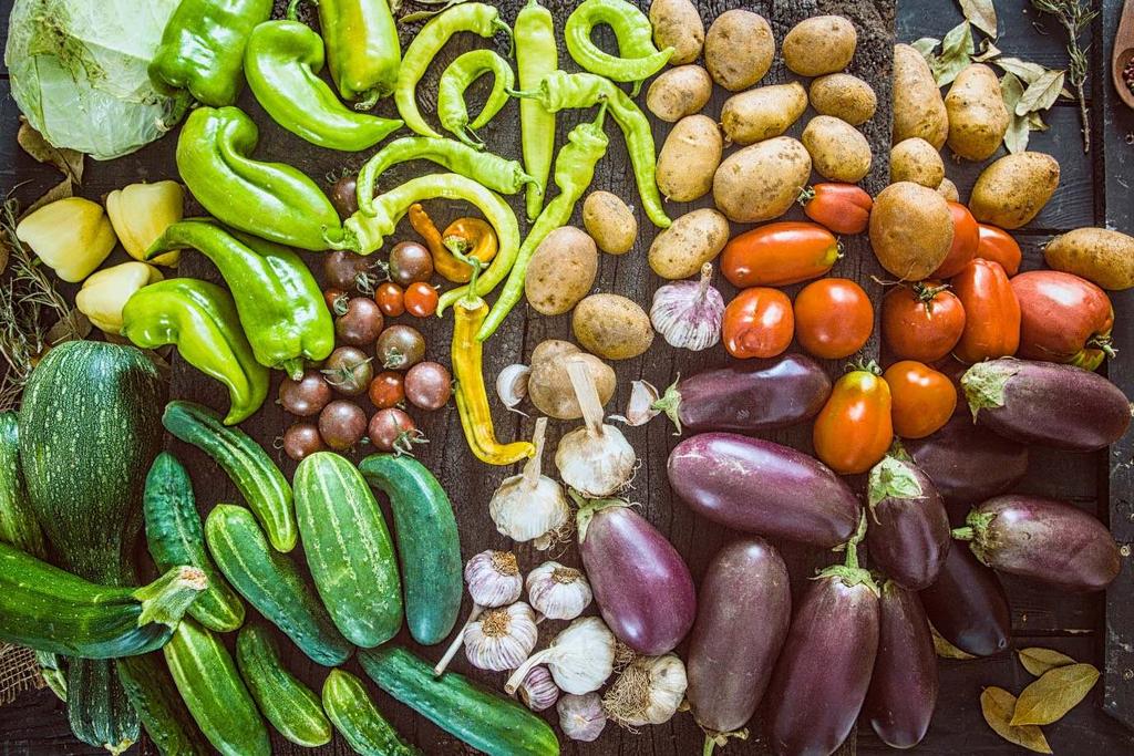 Frisches Gemüse Das sind unter anderem Zucchini, Aubergine, Paprika, Champignons, Knoblauch, Tomaten, Gurken, Grünkohl, Brokkoli und alles was es frisch im Supermarkt gibt.