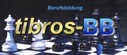tibros-bb - Online Lehrstellengesuche Programmbeschreibung Noske Office Consulting +