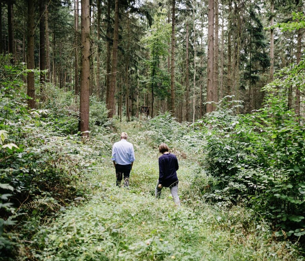 Im Forst verwurzelt Gründung Arbeitsgemeinschaft Naturgemäße Waldwirtschaft In 2009 Gründung der Ersten