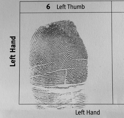 IV Mensch und Gesundheit Beitrag 1 Forensik (Klasse 9/10) 15 von 32 Station 4: Warum sind Fingerabdrücke am Tatort so wichtig?