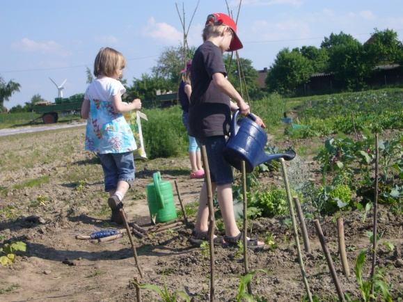 Säen, blühen, ernten - mit Kindern erleben und entdecken Wie kann ich auf dem Gelände der Kindertagesstätte oder Schule ein Beet anlegen, was ist bei der Bodenpflege zu beachten und welche Pflanzen