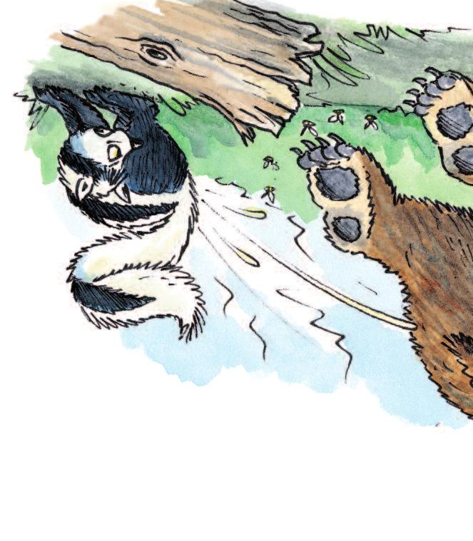 Geschichte Vorsicht, Stinkbombe! Zeichnungen: S. Lucas. Kleine Hand darf heute mit Großer Häuptling in den Wald gehen. Leise schleichen die beiden zwischen den Bäumen am Flussufer entlang.