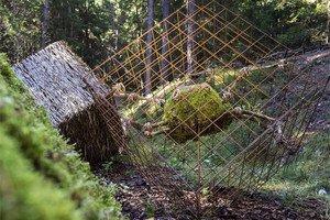 LANDART WANDERUNG Wanderung in den Wäldern entlang des Landartparcours von Pfalzen mit Besuch und Führung der Latschenölbrennerei "Bergila" mit anschließendem "Latschentreten" in den heißen