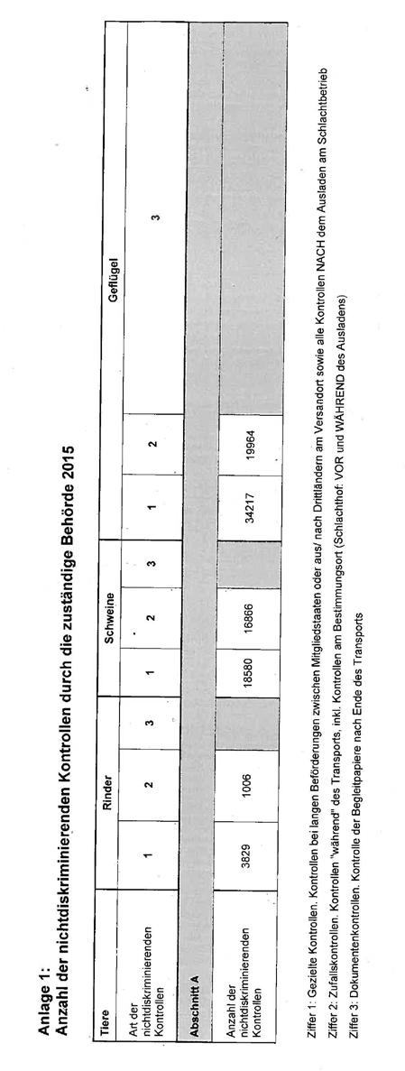 Anlage 1