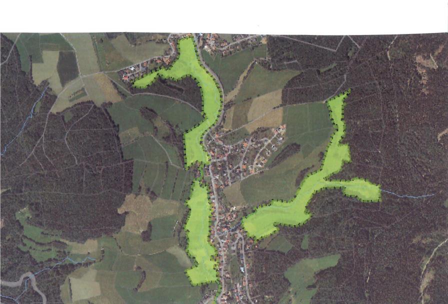 1. Einführung Das FFH-Gebiet Steinachtal bei Abtsteinach wird charakterisiert als ein naturnaher Bachlauf mit begleitenden Gehölzsäumen, sowie eine von Wiesen geprägte Auenzone in einem Talraum des