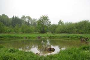 Naturraum Moosbachtal Sieben Hektar Wiesen mit Tümpel laden ein zum Forschen und Entdecken.