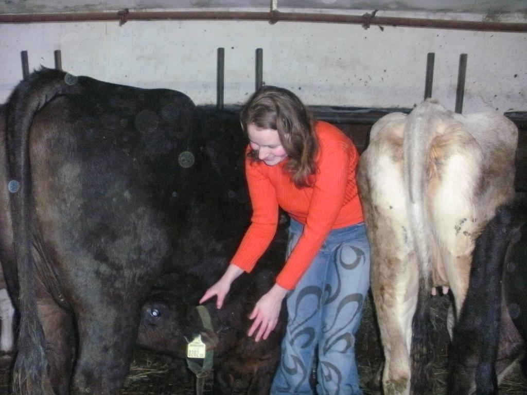 Hier seht ihr mich mit einem Kälbchen das gerade Milch trinkt.