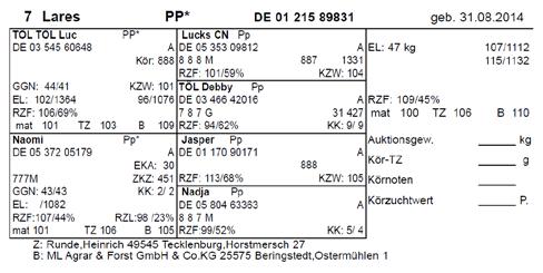 03 466 42016 RZF: 109/45% RZF: 106/69% 7 8 7 G 31 427 mat 100 TZ 106 B 110 mat 101 TZ 103 B 109 RZF: 94/62% KK: 9/ 9 Naomi Pp* Jasper Pp uktionsgew.