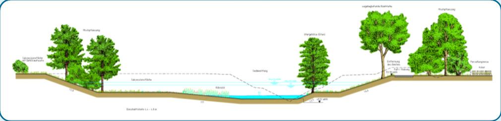 Ökologische Gewässerumgestaltung