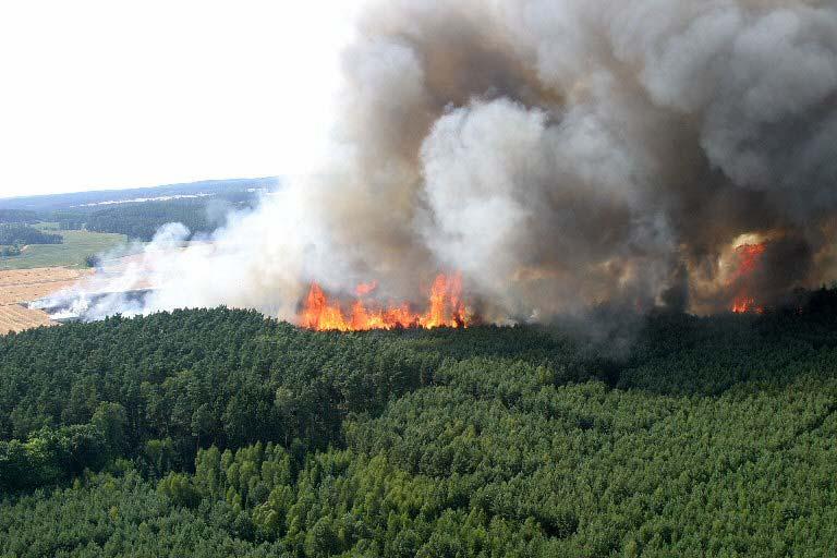 Anzahl und Fläche der Waldbrände in Deutschland von 24 bis 213 (1991-23 = jährlicher Durchschnitt, Quelle: Bundesanstalt für Landwirtschaft und Ernährung) Anzahl (n)/fläche(ha) 1 6 1 4 1 2