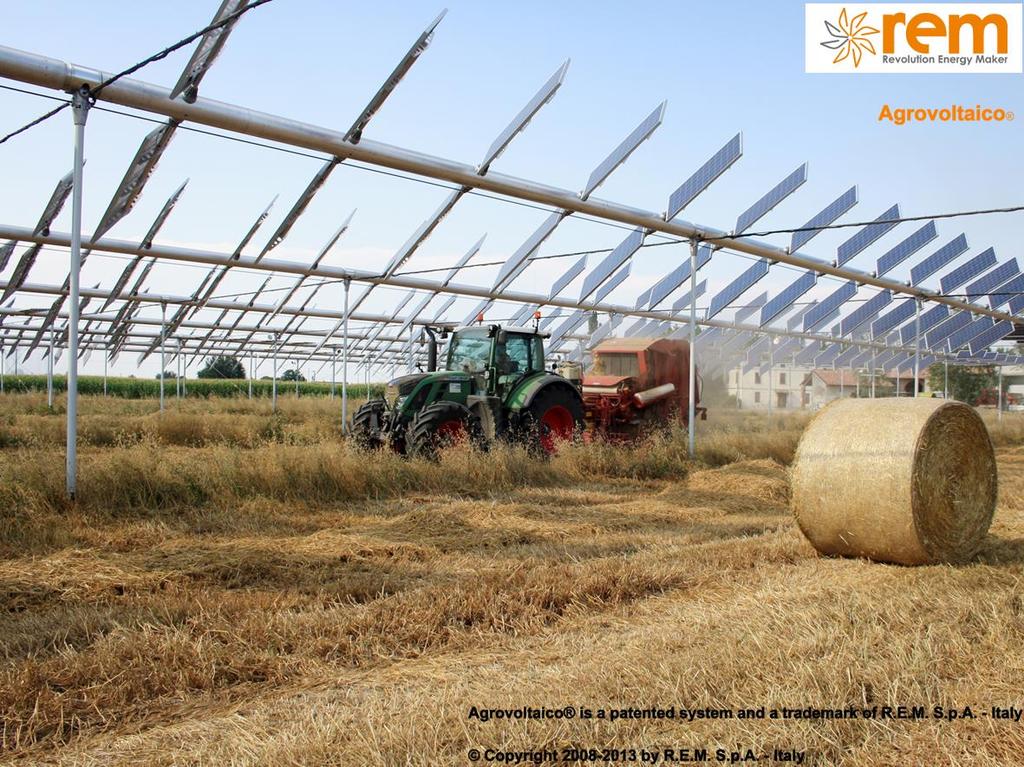 Agro-PV in Italien Doppelte Ernte: Solarstrom