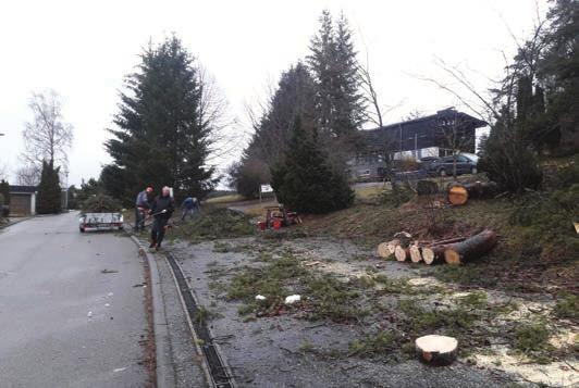 Baumpflege im CVJM Freizeitheim in Erpfingen Nachdem Anfang Januar auf dem Grundstück der Freizeitstätte einige Äste durch Schneebruch von den Bäumen gefallen sind und einige Äste angebrochen waren,