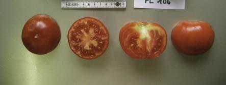 NAP 03-85 Tomaten Anbau 2007 Accenname: Theres Accenumb: FL 106 Instcode: FL Kalenderwoche Ertrag in kg Anzahl Früchte Durchschnittliches Gewicht in Gramm 30 0 0 0 31 1.093 13 84 32 0.158 1 158 33 0.