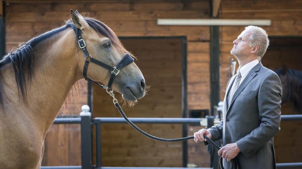 1. Live Erlebnis (Beispiel): Pferde als Co-Trainer Im digitalen Zeitalter wird hierarchische Führung dank Macht
