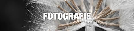 Fotografie und Collage Entdecke die Kunst in dir, in deinen Kunstwerken und in den Werken bekannter Künstler.