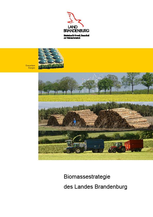 Biomassestrategie Land Brandenburg Untersetzung der Energieund Klimaschutzstrategie 2020 des Landes Brandenburg Berücksichtigung von landespolitischen Beschlüssen der laufenden